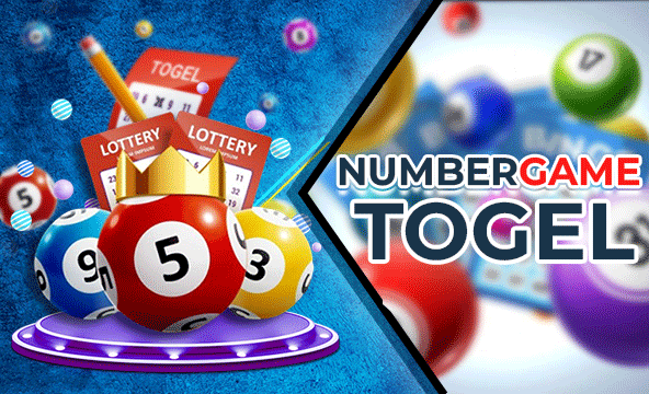 The Ease of Predicting Macau Zodiac (Shio) in Online Togel
